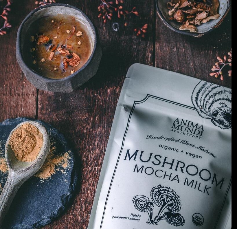 MUSHROOM MOCHA MILK - mocha powder ANIMA MUNDI