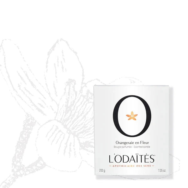 Orangeraie En Fleur | L'Odaïtès - Aromakerze