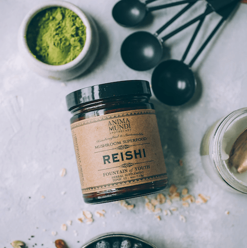 Anima Mundi Schraubglas Reishi aus der Vogelperspektive, liegt neben Portionslöffelen und einer Schale mit grünem Pulver.