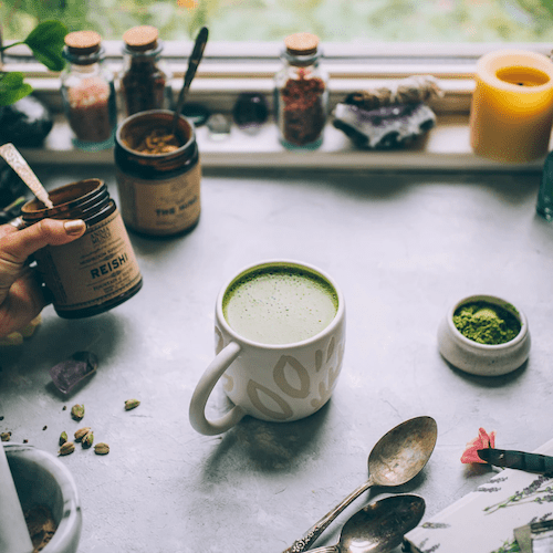 REISHI Fountain of Youth (reines Reishi-Pulver) ANIMA MUNDI