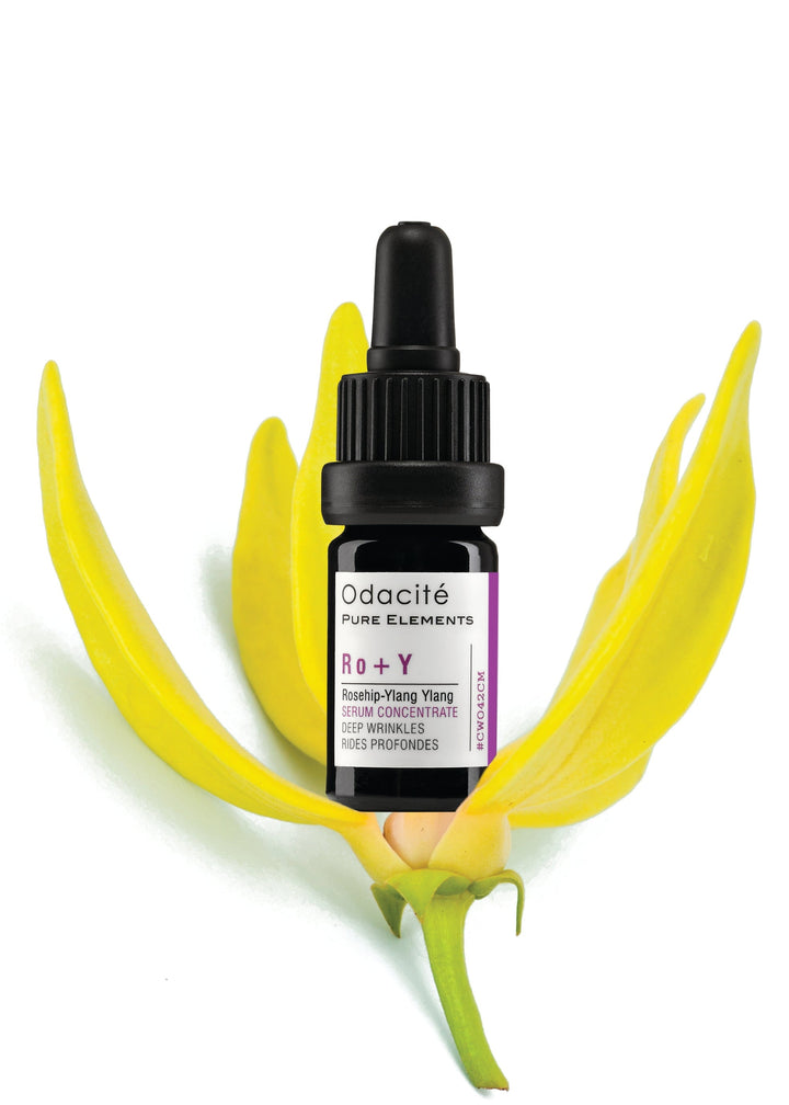 Ro+Y | Serum Konzentrat mit Hagebutte + Ylang-Ylang für die Behandlung intensiver Falten