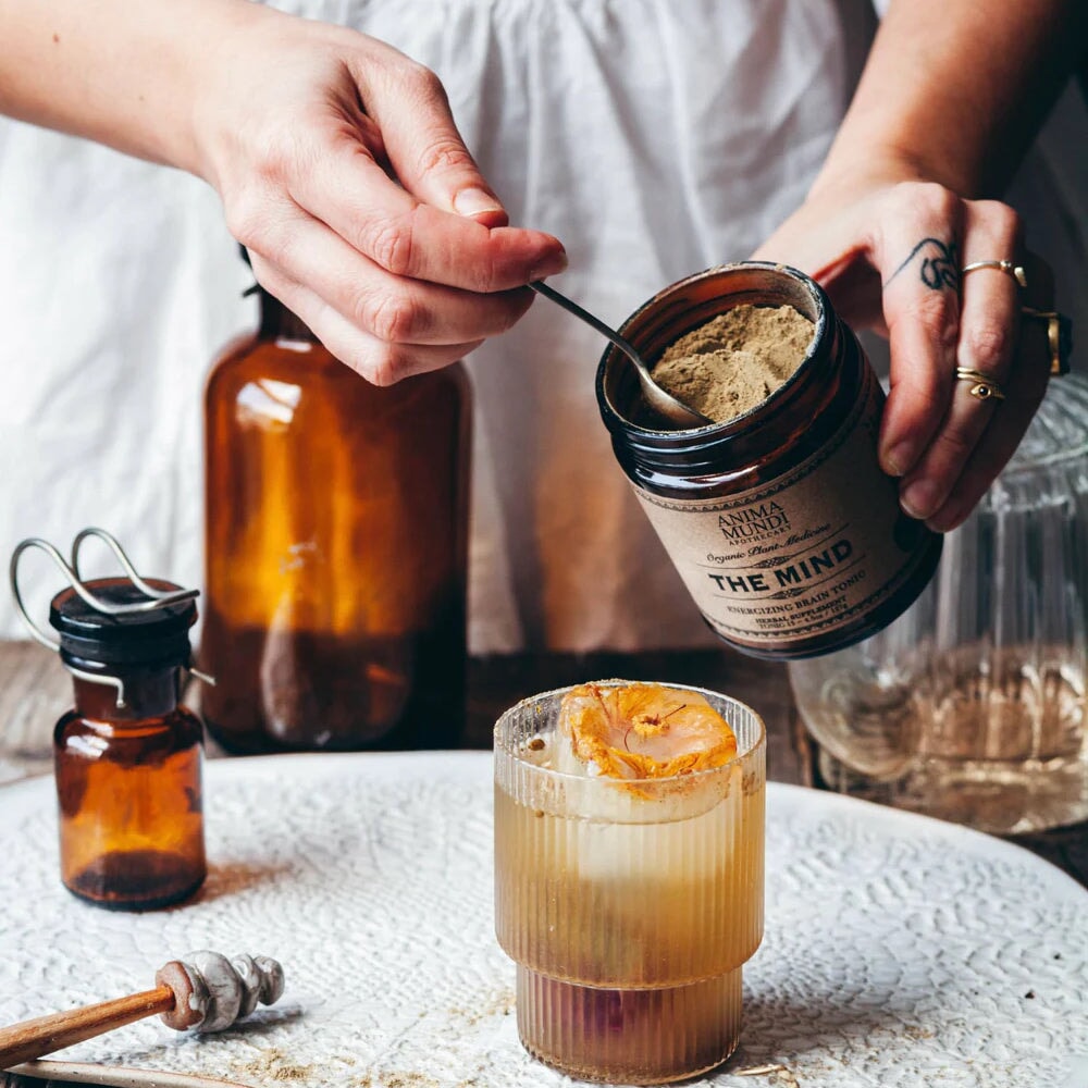 THE MIND (Memory Tonic) - ANIMA MUNDI