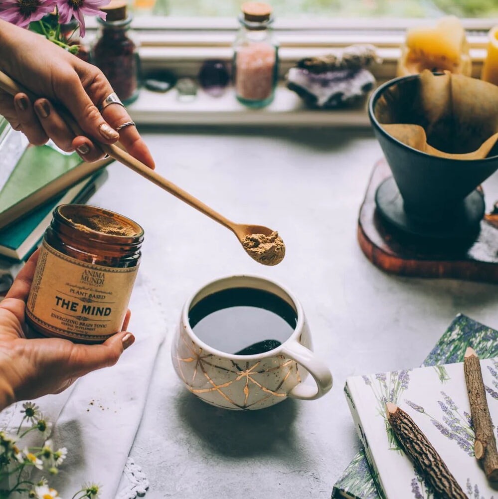 THE MIND (Memory Tonic) - ANIMA MUNDI