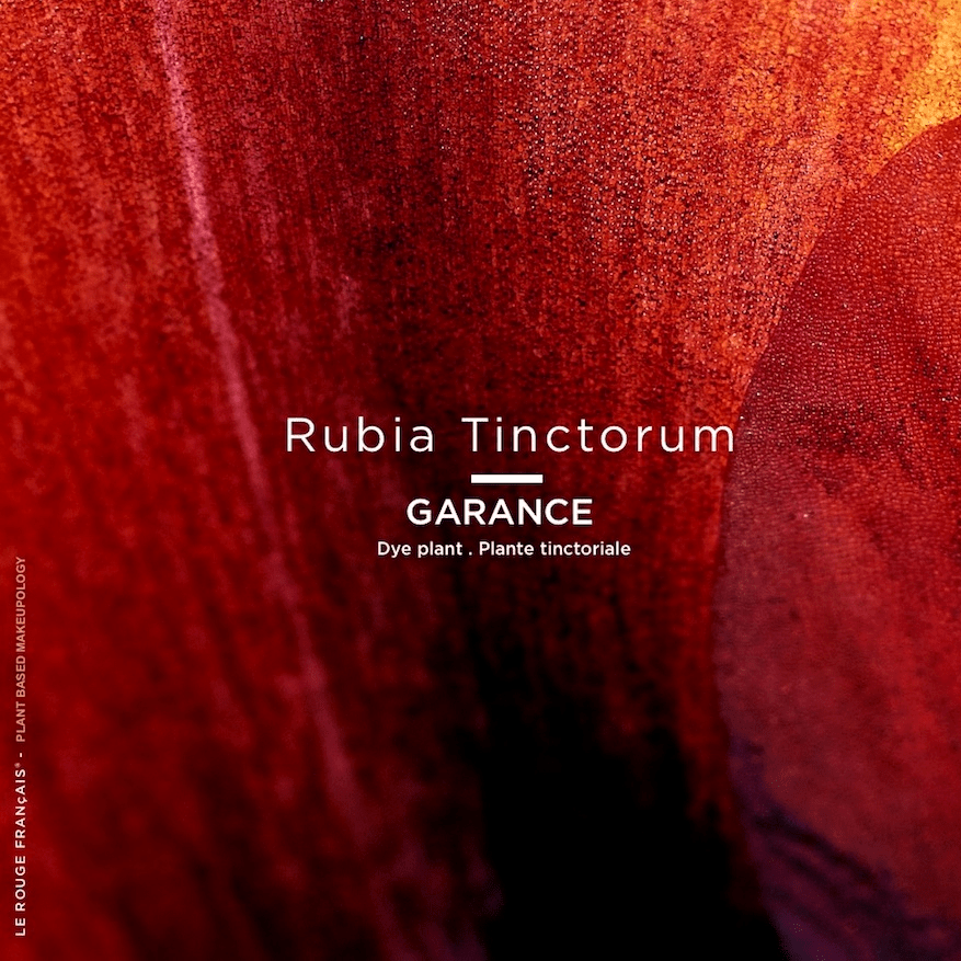 Tinted Lipbalm SIGRID No. 240 (Tinted Lip Balm) - Le Rouge Francais