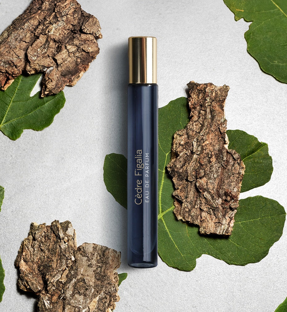 CÈDRE FIGALIA - Unisex Eau de Parfum | ATELIER MATERI North Glow