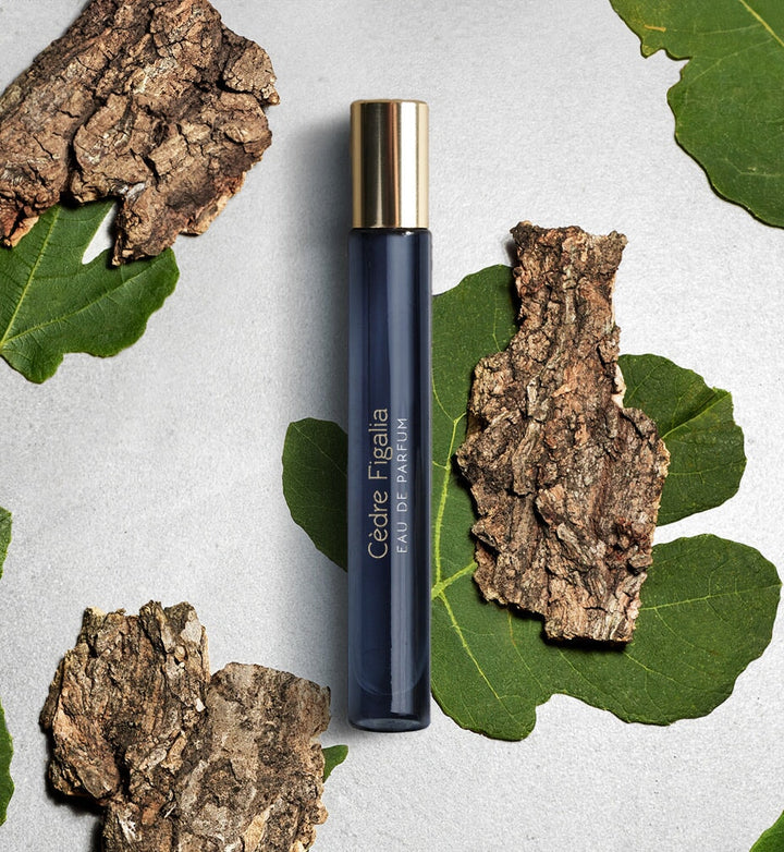 CÈDRE FIGALIA - Unisex Eau de Parfum | ATELIER MATERI