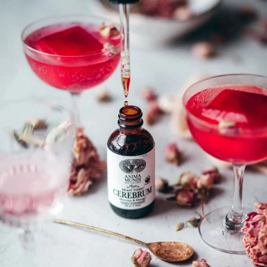 CEREBRUM Memory & Energy Adaptogenic Brain Tonic von ANIMA MUNDI North Glow