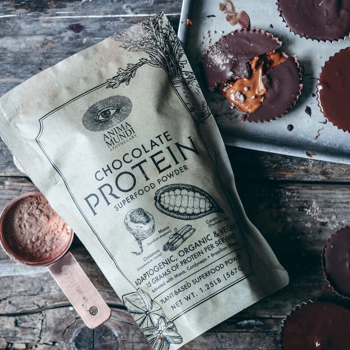 Genussmoment mit Schokoladen Törtchen aus Chocolate Protein Pulver von Anima Mundi– veganes Superfood für Fokus und Energie