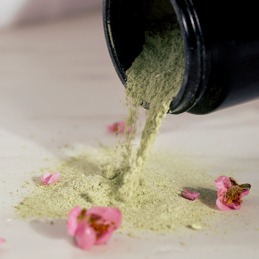 Green Ceremony Cleanser - Puder-zu-Schaum-Cleanser mit Matcha + Spirulina Alge North Glow
