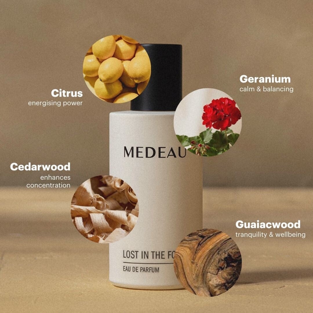LOST IN THE FOREST (Parfum) MEDEAU - Holzig, herb North Glow
