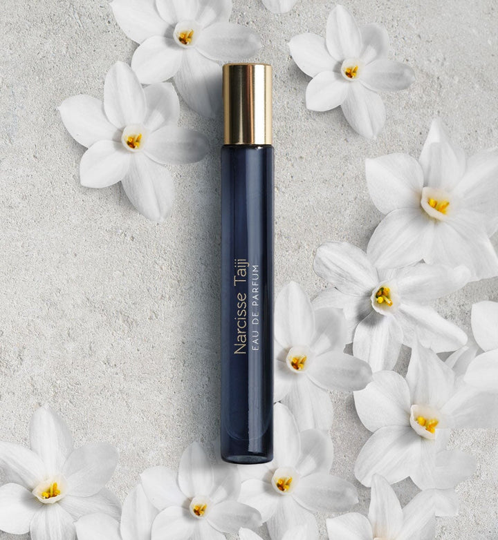 Dark blue, narrow glass jar with golden lid "Narcisse Taiji" by Atelier Materi surrounded by daffodils.