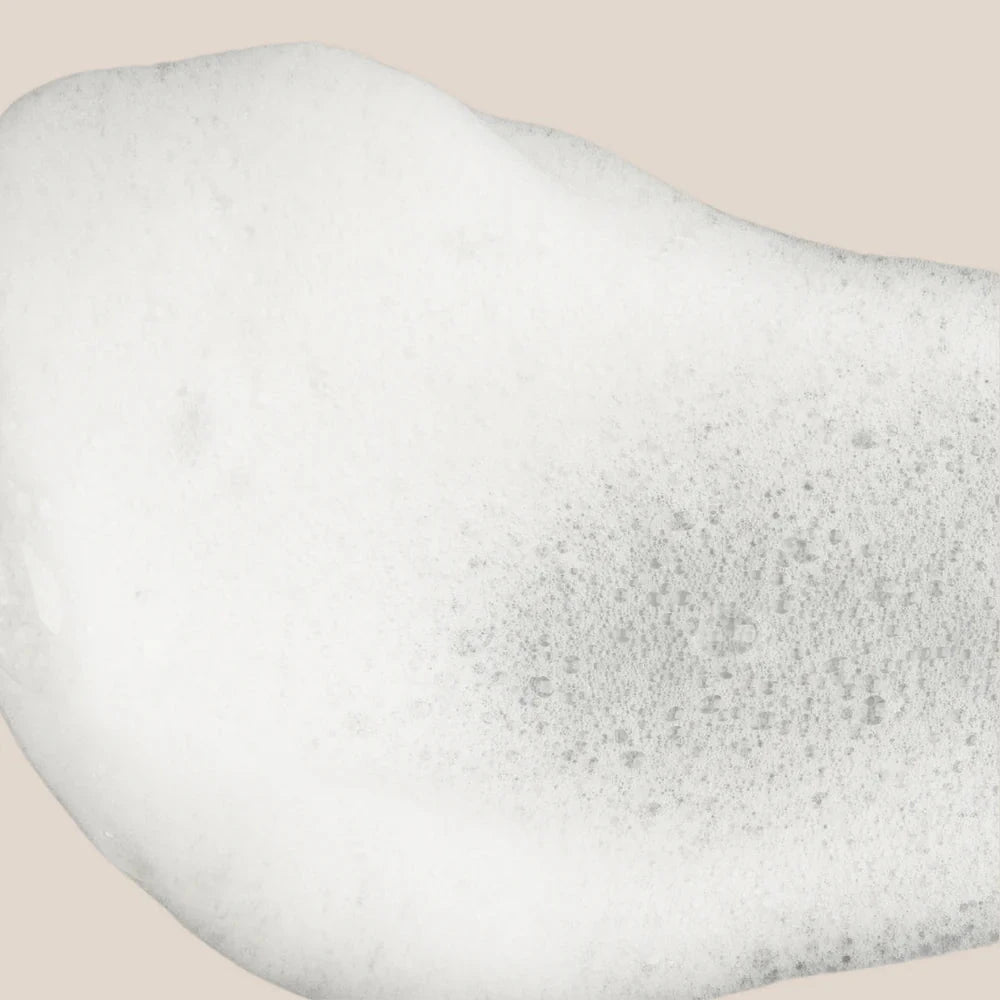 NOELIE Scalp Stimulating & Purifying Shampoo Produktprobe. North Glow