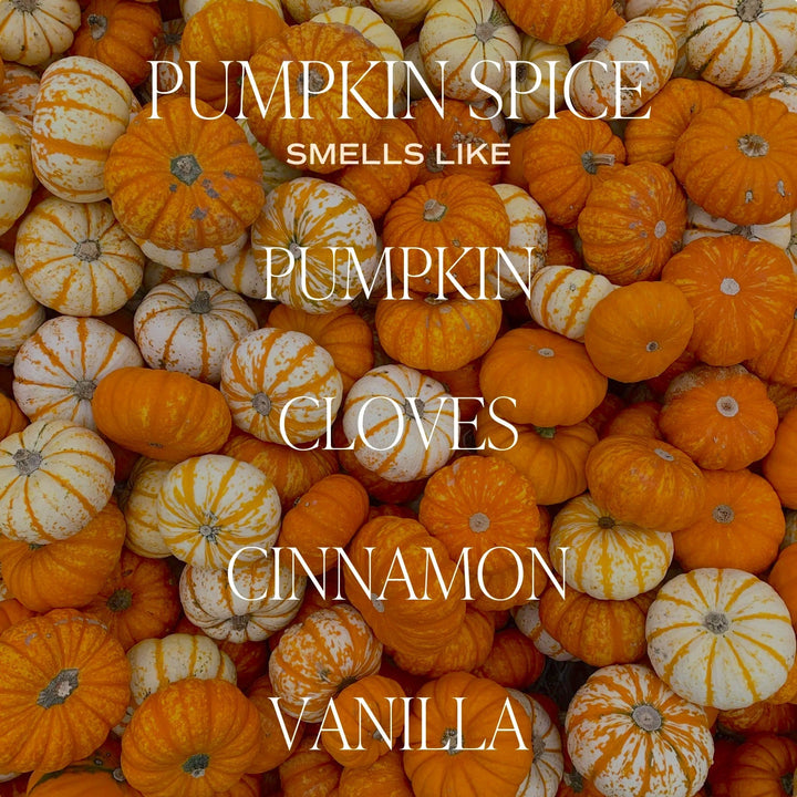 Soy wax candle "Pumpkin Spice" - pumpkin, cinnamon, smoke & vanilla