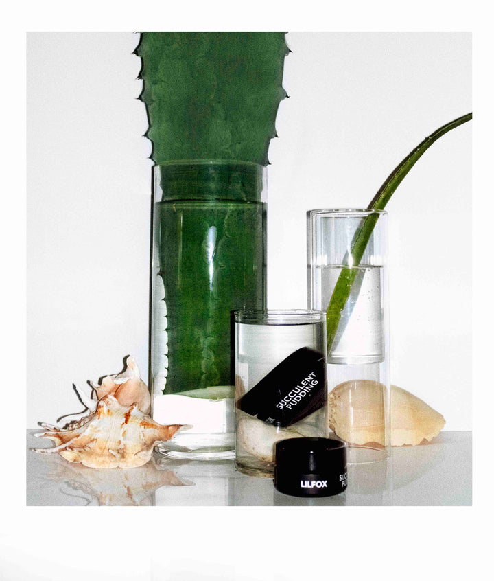 SUCCULENT PUDDING - Super Soothing Emulsion