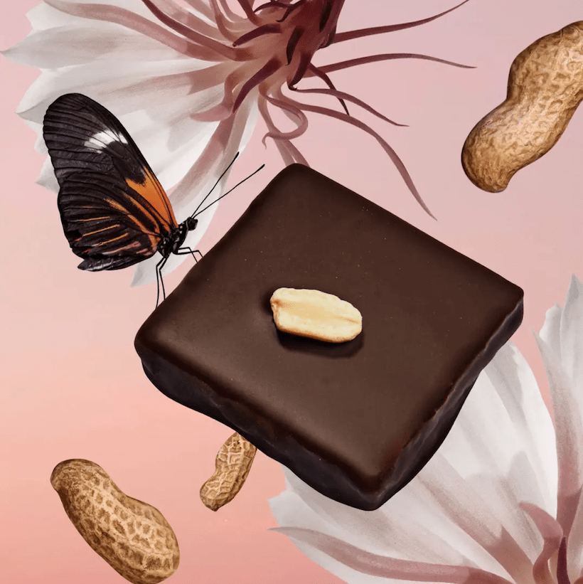 Box of 4 Chakra Chocolate in 🥜 Peanut Butter & Smoked Salt North Glow