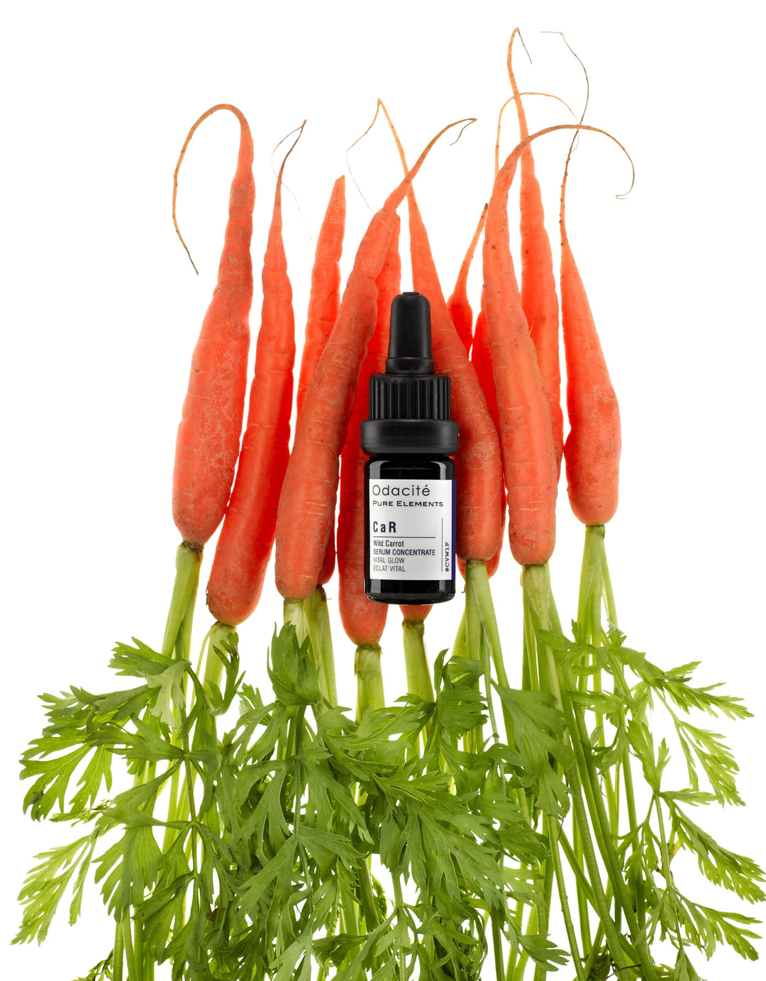 Carrot, Eye Contour, Antiaging, Skincare, Moisture, Beauty, Dehydration, Natural Cosmetics