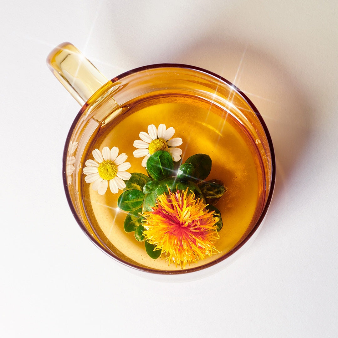 Bird's eye view of a glass cup of tea with floating flowers. North Glow