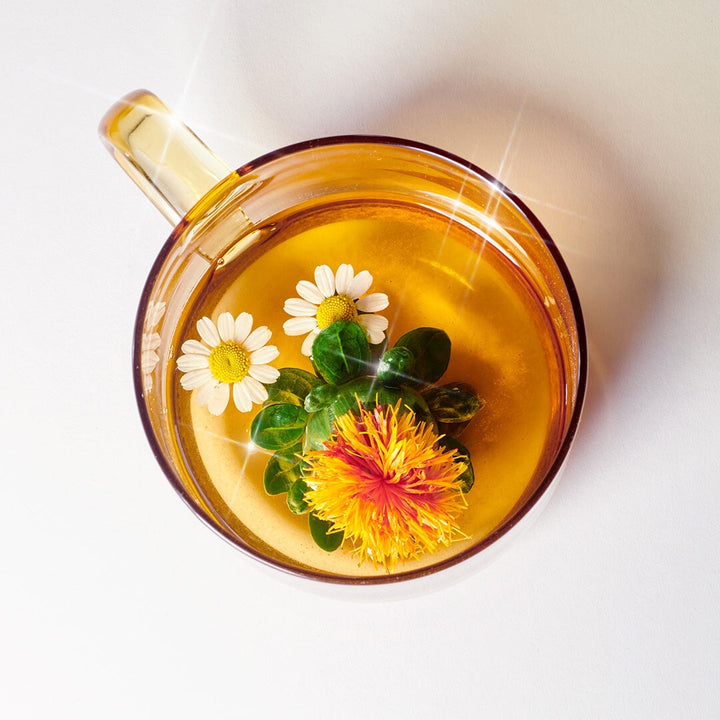 Glass cup of tea from a bird's eye view with floating flowers.
