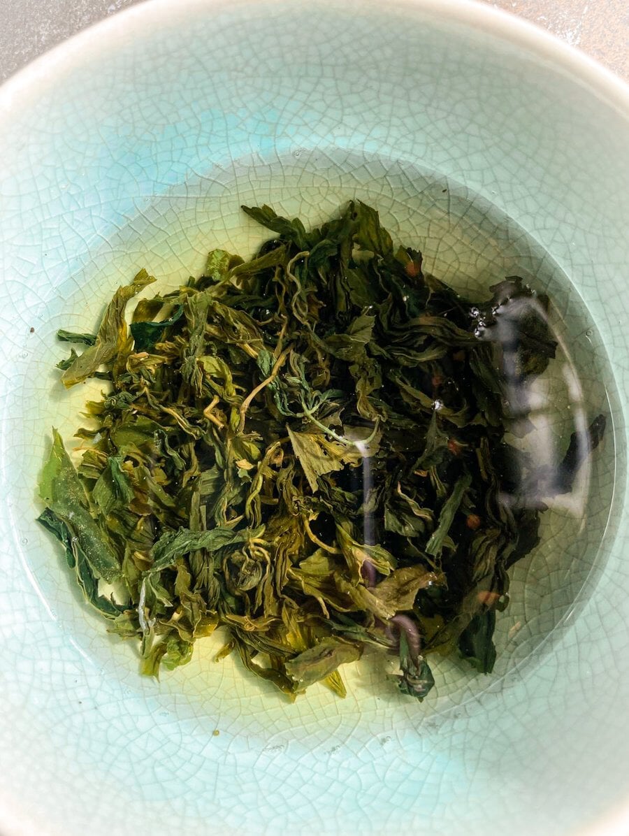 GYNOSTEMMA Whole Leaf - Tee von ANIMA MUNDI North Glow