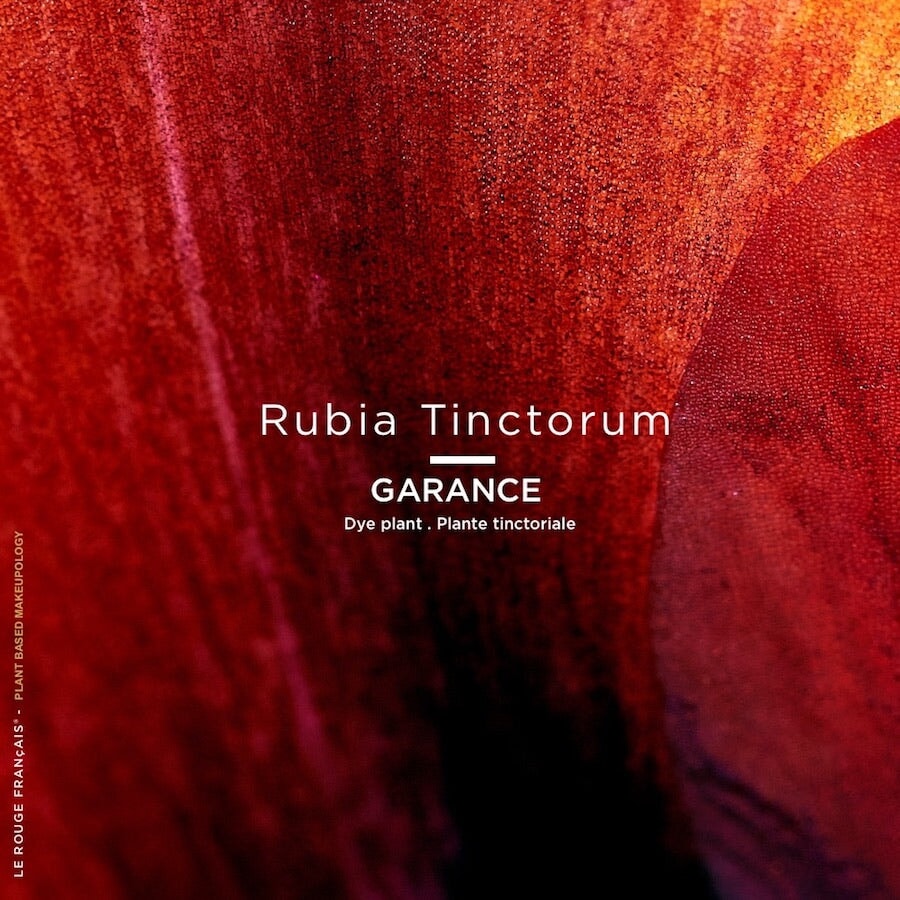 Le Rouge Tinctorial No 010 FRANCAIS (Lippenstift) - Le Rouge Francais North Glow