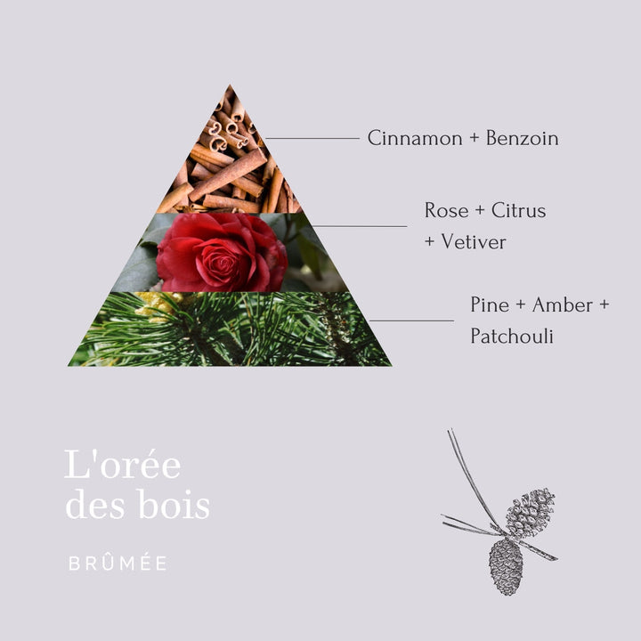 L'Orée des Bois - Summer candle made of vegetable wax with the scent of vetiver, rose, cinnamon & amber.