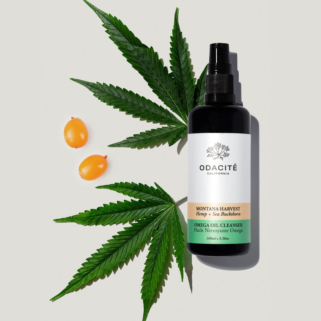 MONTANA HARVEST Omega Oil Cleanser (Reinigungsö) - ODACITÉ North Glow