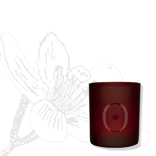 Orangeraie En Fleur | L'Odaïtès - Aromakerze