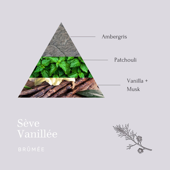 Sève Vanillée - summer candle made of vegetable wax and the scent of vanilla with cedar wood.