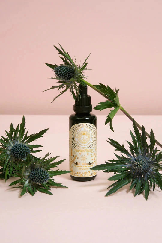 WILD WISDOM - herbal tinture for a clear mind and concentration North Glow